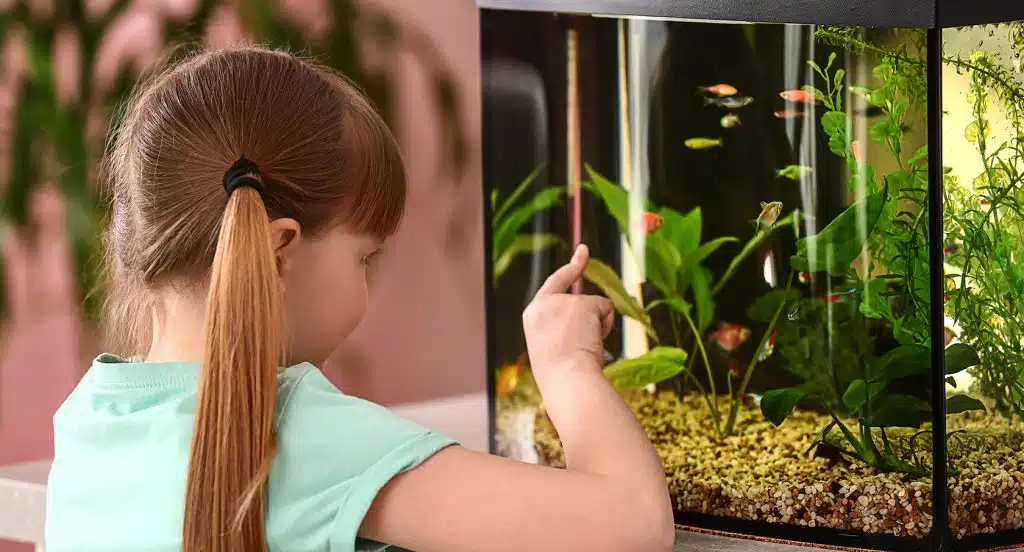 Kind steht vor einem Aquarium und beobachtet die Fische