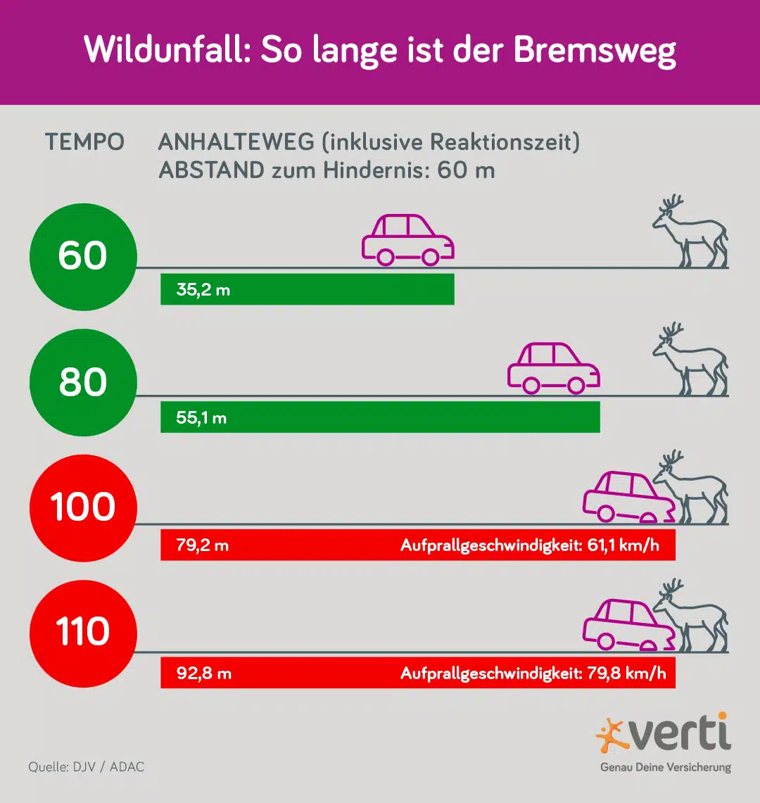 Wildunfall: So lange ist der Bremsweg