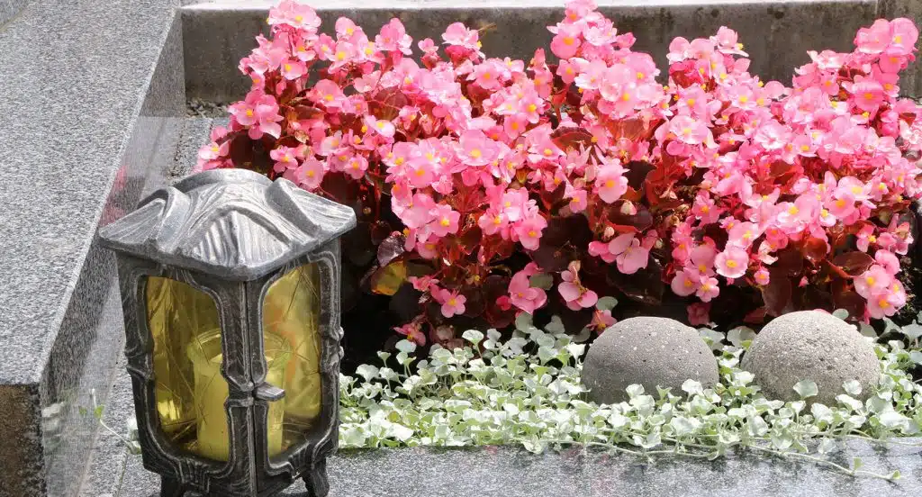 Rosa Blumen und eine Laterne auf einer Grabstätte