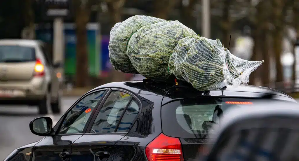 Ein Tannenbaum im Netz liegt auf dem Dachgepäckträger eines Autos