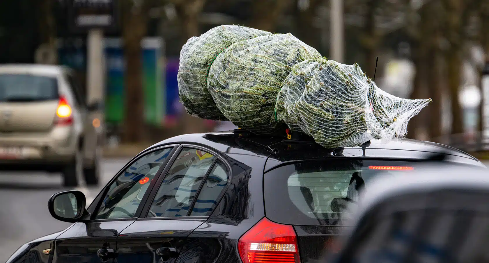 Ein Tannenbaum im Netz liegt auf dem Dachgepäckträger eines Autos