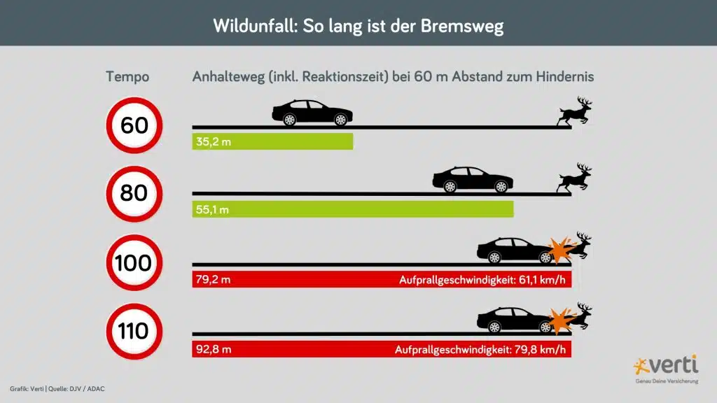 Grafik Bremsweg bei Wildunfall