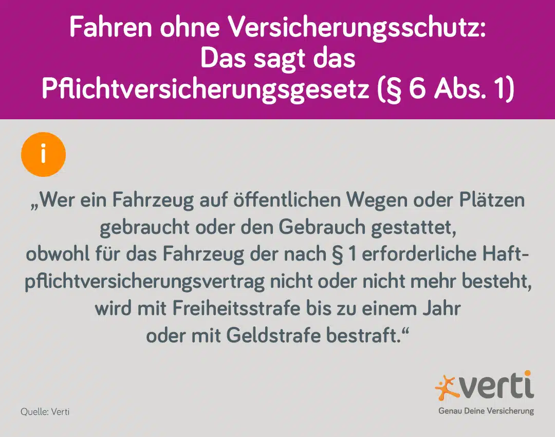 Zitat Paragraph 6 PflVG