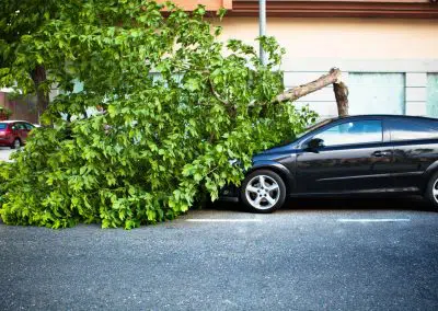 Umgestürzter Baum auf parkendem Auto
