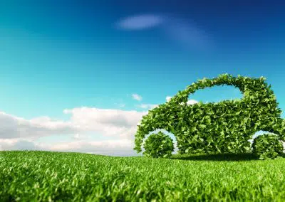 Auto aus Gras auf grüner Wiese