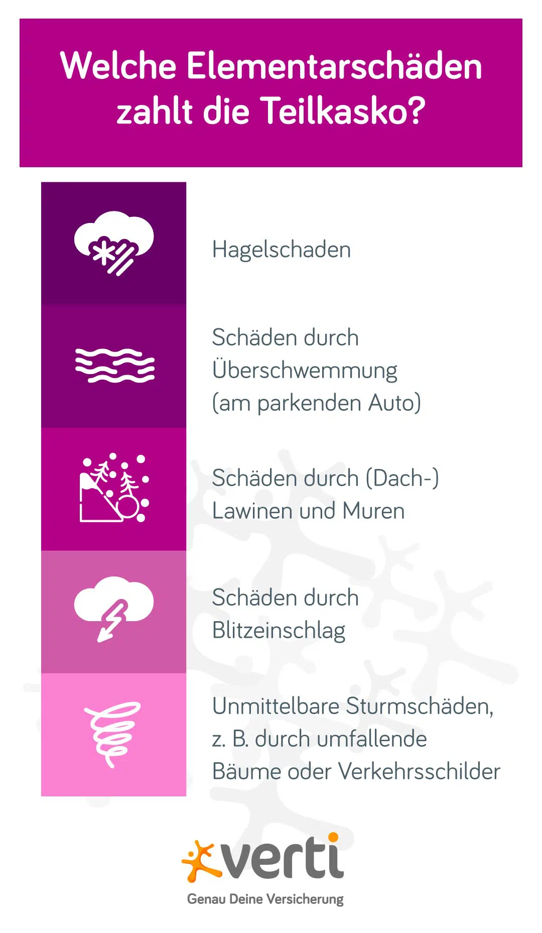 blog_grafik_elementarschaeden Grafik Welche Elementarschäden am Auto die Teilkasko bezahlt