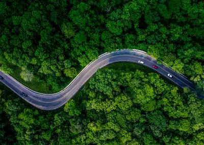 Autos fahren auf einer Straße durch Laubwald