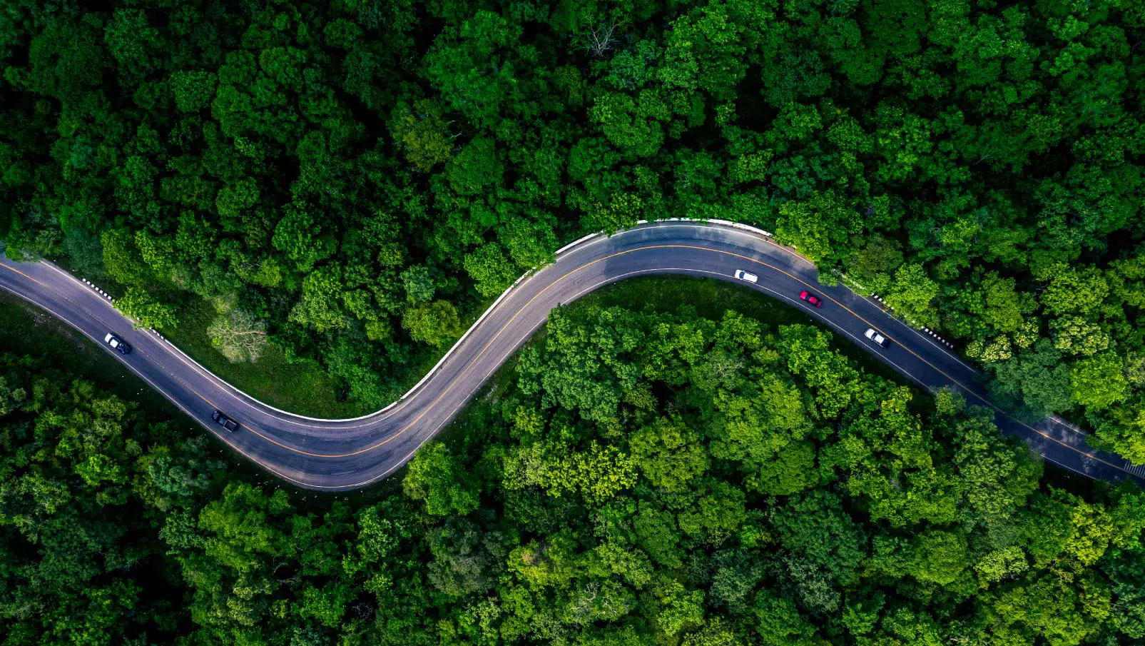 Autos fahren auf einer Straße durch Laubwald