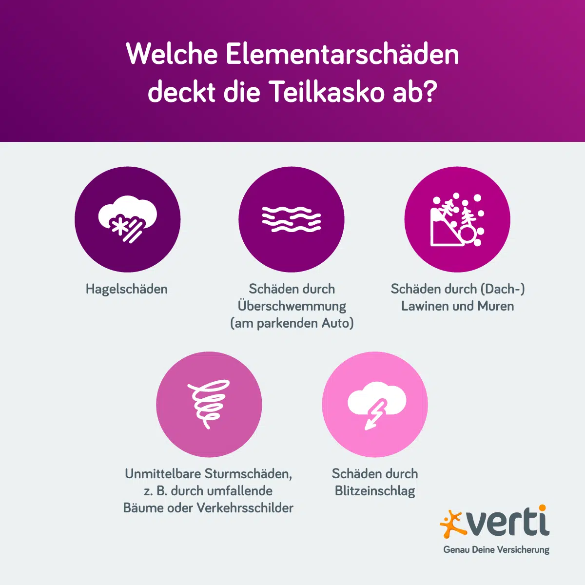 Welche Elementarschäden deckt die Teilkasko ab?