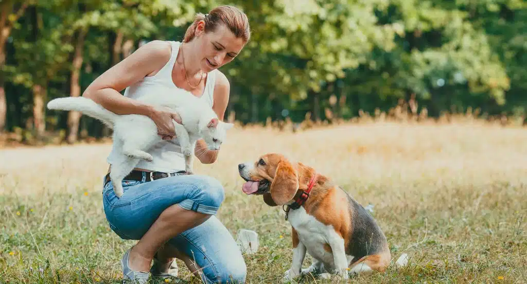 Eine Frau kniet neben einem Hund auf einem Feldweg und hält eine Katze im Arm