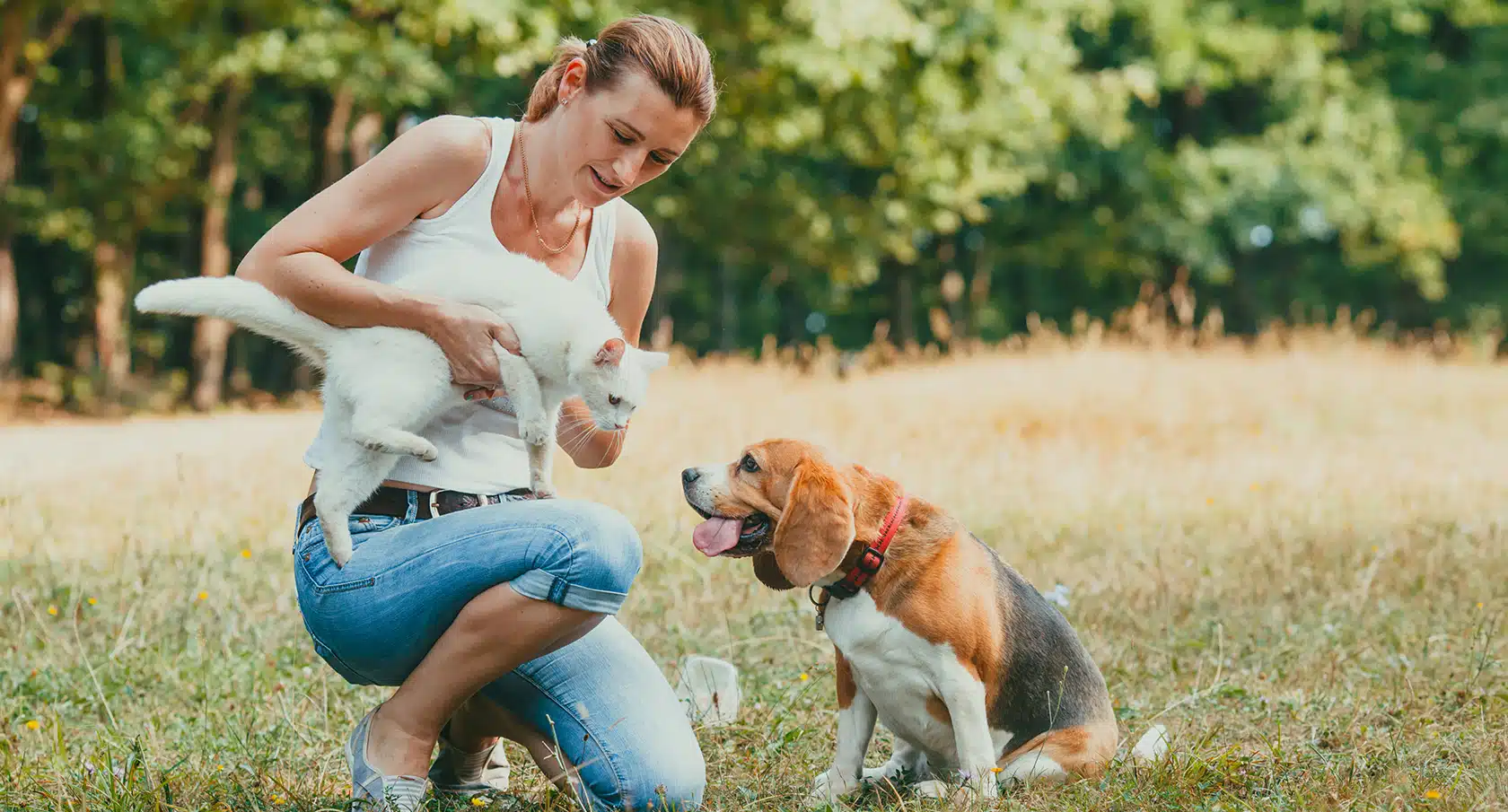 Eine Frau kniet neben einem Hund auf einem Feldweg und hält eine Katze im Arm