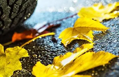Gefahren im Herbst